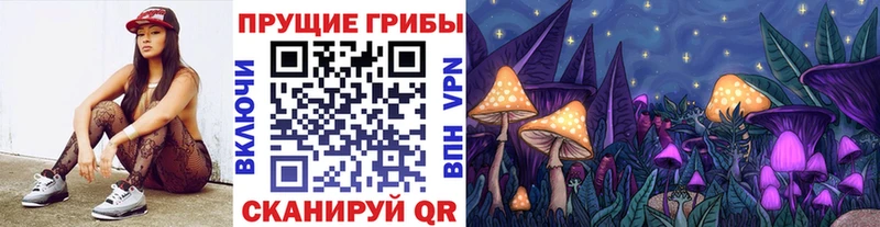 Псилоцибиновые грибы Cubensis Купить закладки Новый Оскол